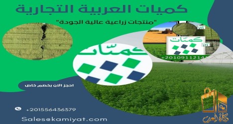 برسيم حجازي